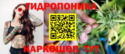 ПСИЛОЦИБИНОВЫЕ ГРИБЫ Берёзовский