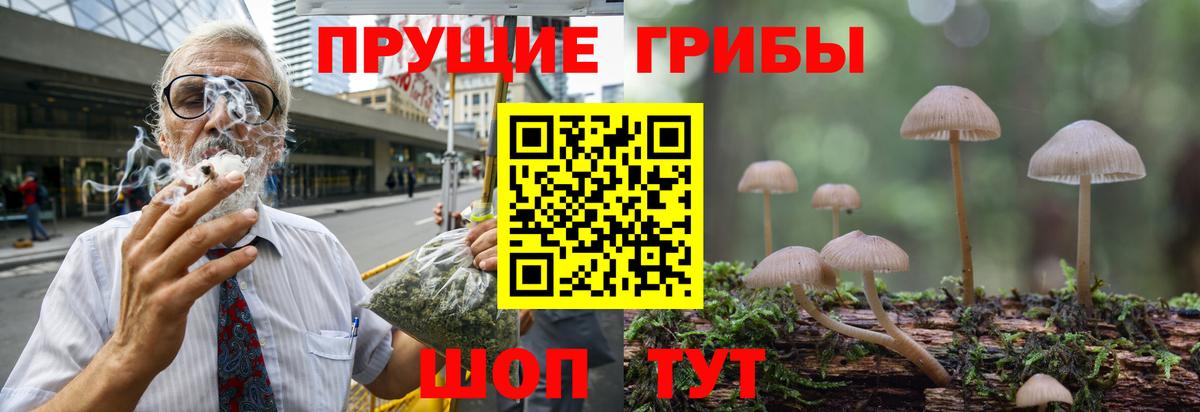 Иваново  купить наркоту  Вход с VPN  Галлюциногенные грибы Psilocybe 